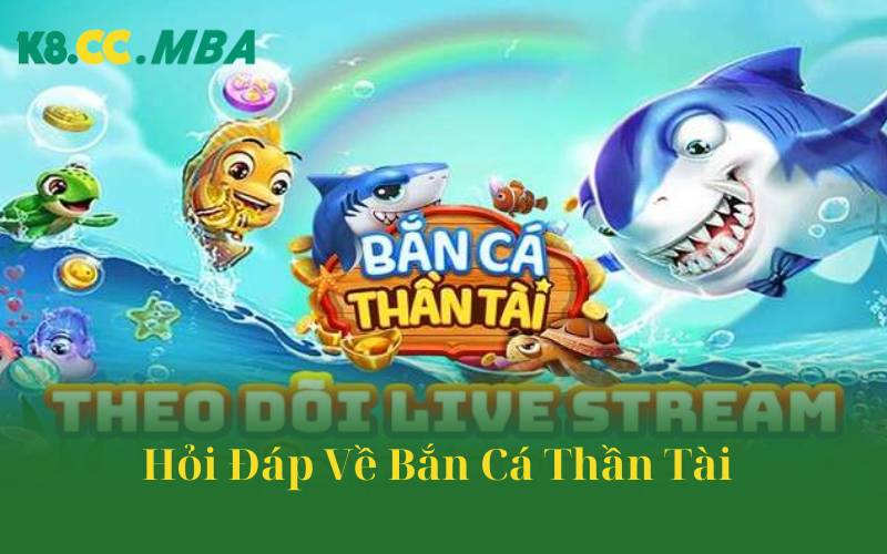 Hỏi Đáp Về Bắn Cá Thần Tài